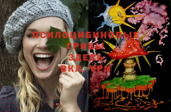 бошки Няндома