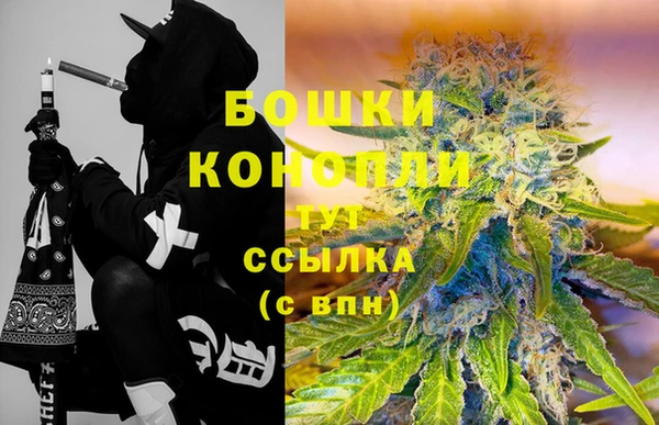 бошки Няндома