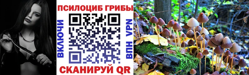 Псилоцибиновые грибы Psilocybine cubensis  Артёмовский 